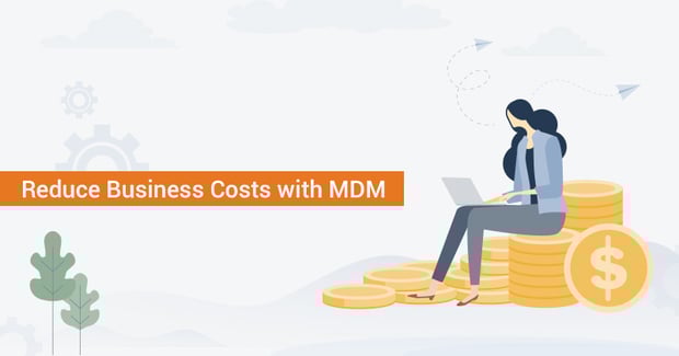 How To Reduce Business Costs with Master Data Management