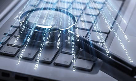 Perform-data-quality-assessments-1